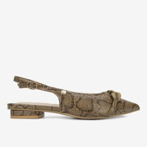 Zapatos Mujer Marron/Serpiente 2YT118